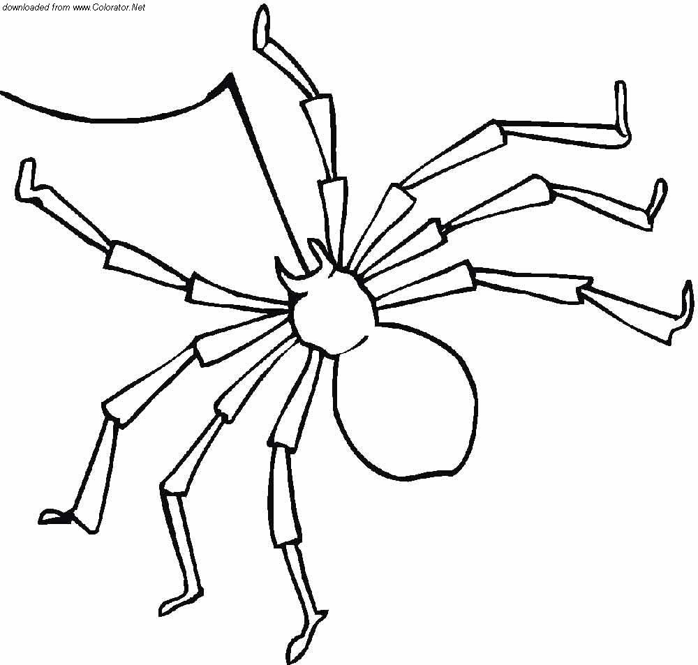 пружина сжатия 22х16х2 в интернет-магазине НМК